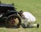 anachronism