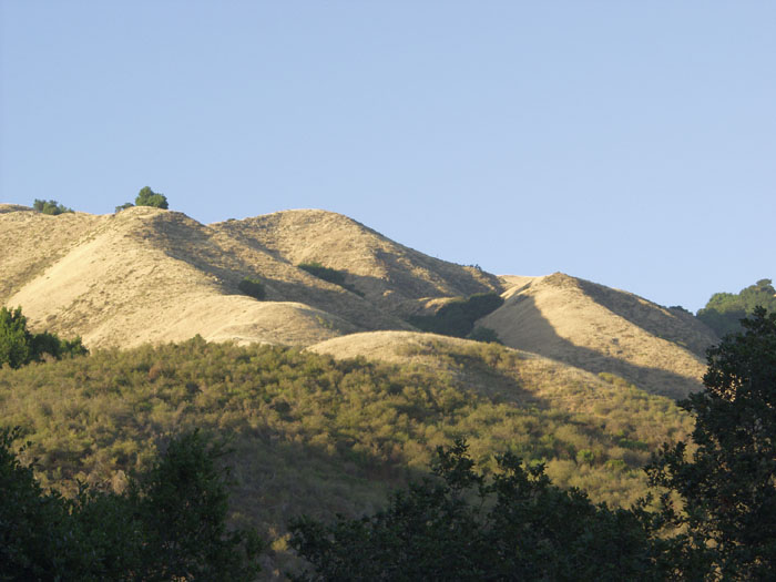 P8069333