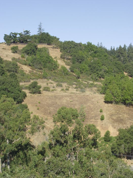P8079384