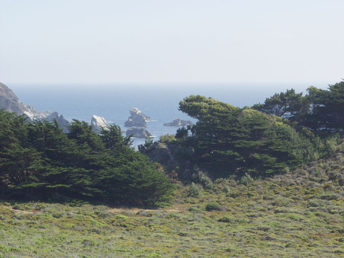 P8079453