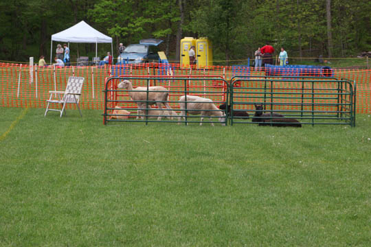 IMG_0625