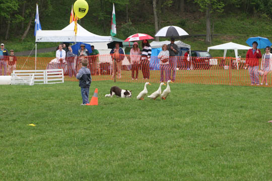 IMG_0738