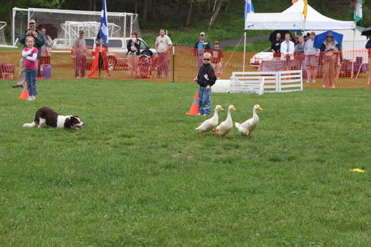 IMG_0747