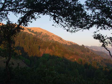 P8069345